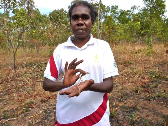 call-to-restore-indigenous-names-for-plants-and-animals